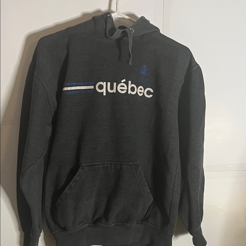 😄Vintage Lisa International Dark Gray Hoodie Quebec medium